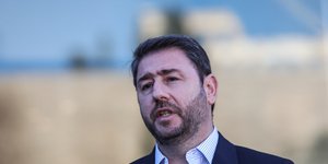 Ο Νίκος Ανδρουλάκης