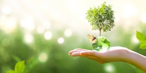 Nestlé Ελλάς - «The Most Sustainable Companies in Greece 2023»