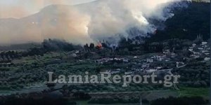 Φθιώτιδα: Μεγάλη πυρκαγιά σε πευκοδάσος της περιοχής Μενδενίτσα