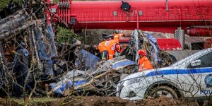 γερανος διασωστες