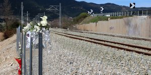 ραγες συρματα λουλουδια