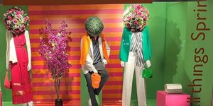 Notos: New season - New fashion