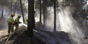 Περισσότερες από 100 πυρκαγιές καίνε δασικές εκτάσεις στην Ισπανία