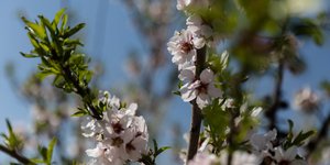 Αίθριος ο καιρός σήμερα