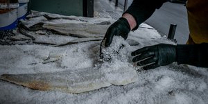 Μπακαλιάρος