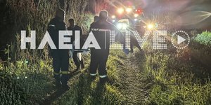 Ηλικιωμένος καταπλακώθηκε από δέντρο στα Κρεστένα/ Φωτογραφία: ilialive.gr