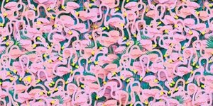 Μια μπαλαρίνα είναι κρυμμένη ανάμεσα σε πολλά φλαμίνγκο