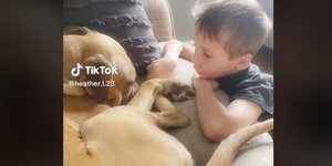 Ένα 7χρονο αγόρι παρηγορεί τον νέο του σκύλο