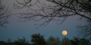 Πανσέληνος των σκουληκιών στις 7 Μαρτίου