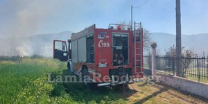 Φωτιά στη Φθιώτιδα