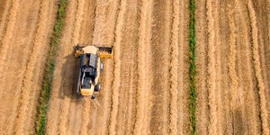 Καλλιέργεια σιτηρών