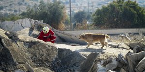 Εκπαίδευση 12 σκύλων έρευνας και διάσωσης της Ελληνικής Ομάδας Διάσωσης στο Χορτιάτη