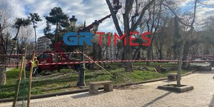 Συνεργεία για την κοπή δέντρων στην Θεσσαλονίκη/ Φωτογραφία: GRTimes.gr