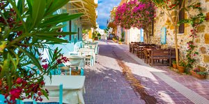 τραπεζακια μπουκαμβιλια πικροδαφνη