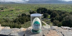 Το πασχαλινό αυγό του Νίκου Ανδρουλάκη