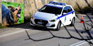 σκυλί και περιπολικό