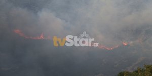 Φωτιά Φθιώτιδα