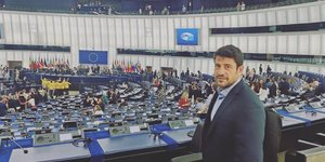 Ο Αλέξης Γεωργούλης στην Ευρωβουλή