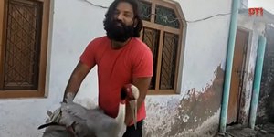 Ο αγρότης από την Ινδία που διέσωσε τον γερανό