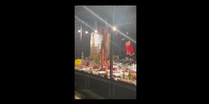 Σουηδή καλλιτέχνις κλειδώθηκε σε κλουβί γυμνή επί 3 ημέρες