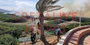 Φωτιά στα Μάλια/ Φωτογραφία: Cretalive News.gr