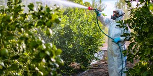 Φωτογραφία αρχείου: Shutterstock