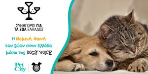 Pet City - Act Pawsitive
