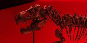 T-Rex