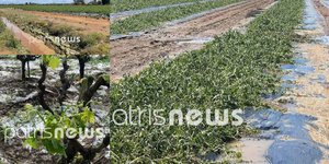 Χαλάζι Ηλεία χαλαζόπτωση καλλιέργειες καταστροφές