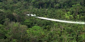 Αεροπλάνο πετά πάνω από ζούγκλα