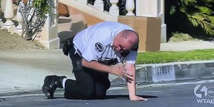 Αστυνομικός δέχθηκε επίθεση on camera  από σμήνος μελισσών