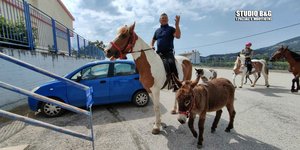 Εκλογές 2023 Ναύπλιο εκλογικό τμήμα