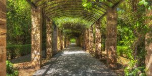 πάρκο στην Αθήνα