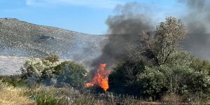 Φωτιά Αμπελώνες Καλύβια