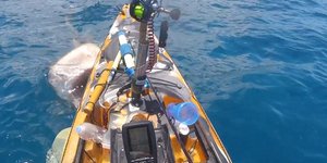 Καρχαρίας επιτίθεται σε αλιευτικό