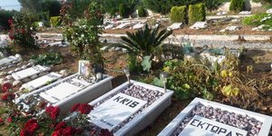 Που «κοιμούνται» τα κατοικίδια ζώα 