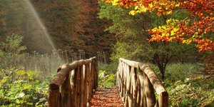 Φωτογραφία: shutterstock