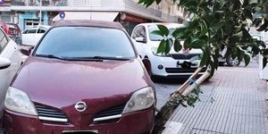 παρκάρισμα πάνω σε κορμό δέντρου