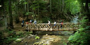 πεζοπορια ξυλινη γεφυρα
