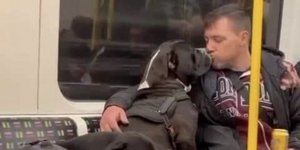 O ιδιοκτήτης φιλάει το ένα από τα δύο σκυλιά που εξουδετερώθηκαν από την αστυνομία του Λονδίνου, λίγες μέρες αργότερα