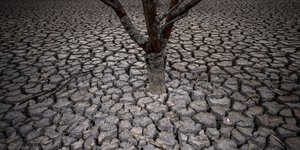 Ισπανία: Δραματική η κατάσταση στα νότια της χώρας λόγω ξηρασίας -Μη πόσιμο το νερό της βρύσης