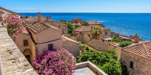 κεραμίδια μπουκαμβιλια 