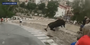Ισπανία: Συγκλονιστικό βίντεο -Ταύρος πήδηξε από ύψος δέκα μέτρων και δυστυχώς δεν τα κατάφερε 