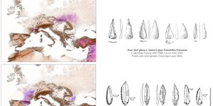 Λίθινα εργαλεία καταγράφουν τρία κύματα μετανάστευσης των πρώτων Sapiens στην Ευρώπη