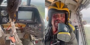 To γιγάντιο πουλί τρύπησε το κόκπιτ, αλλά ο πιλότος διατήρησε την ψυχραιμία του