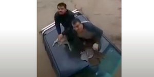 Διάσωση δύο ανθρώπων και ενός σκύλου από τα ορμητικά ποταμού στη Χιλή