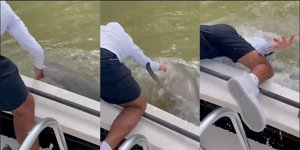 H στιγμή της επίθεσης του καρχαρία στον ψαρά στη Φλόριντα