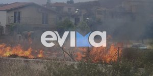 Φωτιά σε ξερά χόρτα στη Χαλκίδα