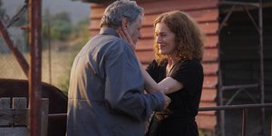 Η Γη της Ελιάς, νέα επεισόδια