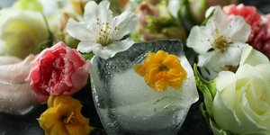 Πώς να κάνετε παγάκια με λουλούδια 